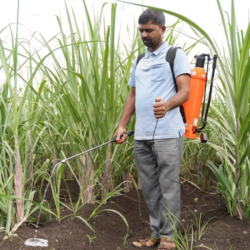 SWASTI Auto Soil Drenching Device image 4: Farmer drenching sugarcane with the SWASTI device on a battery sprayer