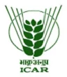 ICAR లోగో